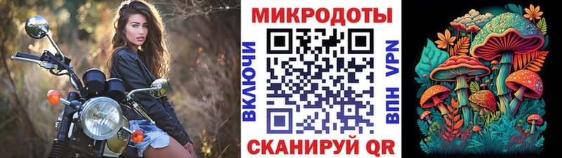 как найти наркотики Полярный сайты даркнета клад Галлюциногенные грибы MAGIC MUSHROOMS